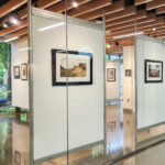 Reflections: The Wonders of Creation Art Exhibit